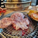 지리산참숯뒷통구이 - 거제시 옥포로10길 22 | 지리산참숯뒷통구이