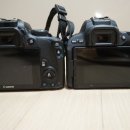 수광상회 | 캐논 100D vs 200D 달라진 점은?