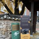 항아리 | 서울 정동 이화 아트갤러리 달 항아리 성석진 초대전 후기