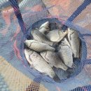 수신낚시터 이미지