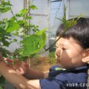 기훈농장 이미지