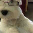 맞춤형 화장품 조제관리사 자격증 이미지