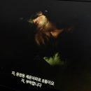 복하천 갈대멋짐길 | 블로그 글 3개 연달아 쓰는 사람이 있다?(4월 중간 일상)