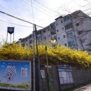 안동송현초등학교 이미지