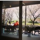 조금느린집 이미지