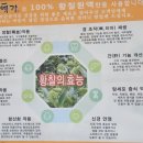 황칠예가