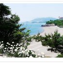 솔섬 이미지