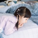 플로피스 이미지