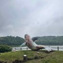 마이스터심슨 부대찌개 중대물빛공원점 | 일상 중대물빛공원 부대찌개 갈비 닭갈비