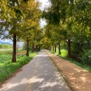 낙동강자전거우회도로5 이미지