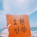 영일민박 이미지