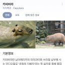 나트랑(냐짱)-달랏 여행기(4) :: 달랏은 여름에 정말 달랏