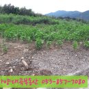 하양대곡공인중개사사무소 이미지