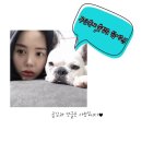 젠틀폰 이미지