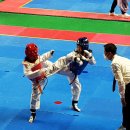 희망태권도체육관 이미지