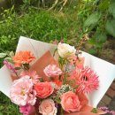 비엘리 | 비엘리플라워 광화문 후기 서촌꽃집 추천