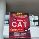 가족뮤지컬 어린이캣츠 | 부산 가족 뮤지컬 어린이 캣츠 7살 관람 후기