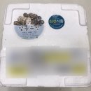 샬롬수산 - 군산시 내항2길 216 | 샬롬수산