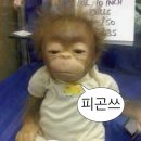 태산기기 이미지