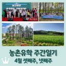 신의전천후게이트볼장 게이트볼장 | 보성 농촌유학 주간일기 4월 셋째주,넷째주 / 보성 농산어촌 유학마을 한마음 대회(입주식) / 보성강...