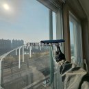 참좋은가 이미지