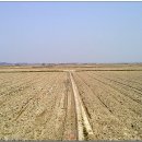 원신흥리 이미지