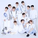 워너클린 이미지