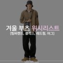 겨울 데일리 부츠 위시리스트 / 팀버랜드,클락스 왈라비, 레드윙 아이언, 어그 숏 코디