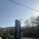 isolotto pizza(이솔로또 피자) | [내돈내산] 무의도 피자집 이솔로또피자 두번째 방문후기 : 포테이토피자, 풍기피자, 마르게리따피자