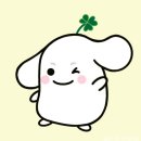 콩양