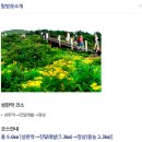 사라 | 한라산 사라오름 성판악 코스 후기｜예약 방법부터 난이도까지 총정리