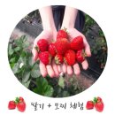 복학농장 이미지