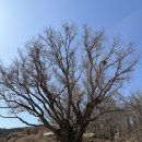 풍도보건진료소 이미지