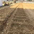 읍내9리 마을회관 이미지