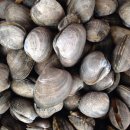 인이수산 이미지