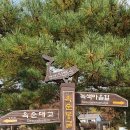 옥순봉길 이미지
