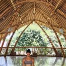 고승아약국 이미지