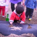 솔빛농장 이미지