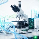 생명의줄기 | 줄기세포 첨생법 최대 수혜주? 제대혈 관련주 톱3 전망 및 주가 분석