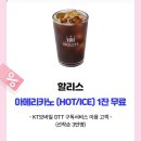 할리스세종 이미지