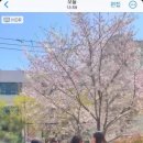 손현아영어