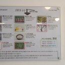 가이오국수홍대점 이미지