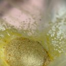 엄마표 수제간식 만들기 이미지