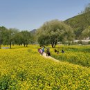 금강트럭 이미지