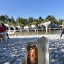 마켓플레이스 | 뉴욕 첼시마켓 랍스터플레이스 랍스터롤 4oz 후기