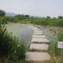 무 진 정 이미지