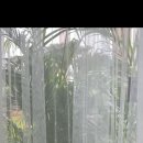 강아지미용실 정독 이미지