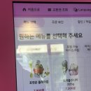 배스킨라빈스 포켓몬 플레이버컵 가격 및 구성, 포켓몬 메탈 키링까지 완벽 리뷰