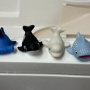 이준열대어 이미지