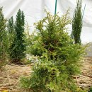 화백농장 이미지